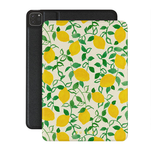 CM_15IP_iPAD_PRO_11
