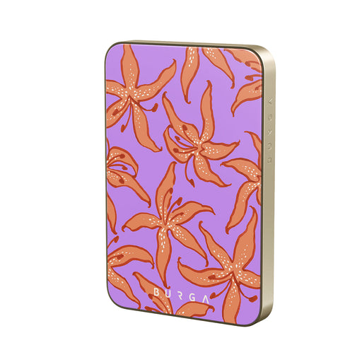 JL_02MS_MagPbank5K-GO