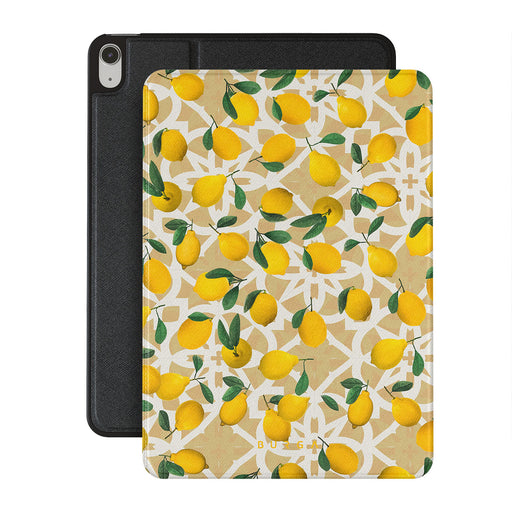 LL_01IP_iPAD_AIR_11