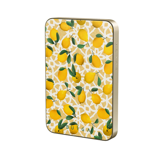 LL_01MS_MagPbank5K-GO