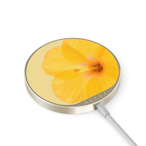 RS_20MC_MAGNETIC_WRLS_CHRG-GOLD