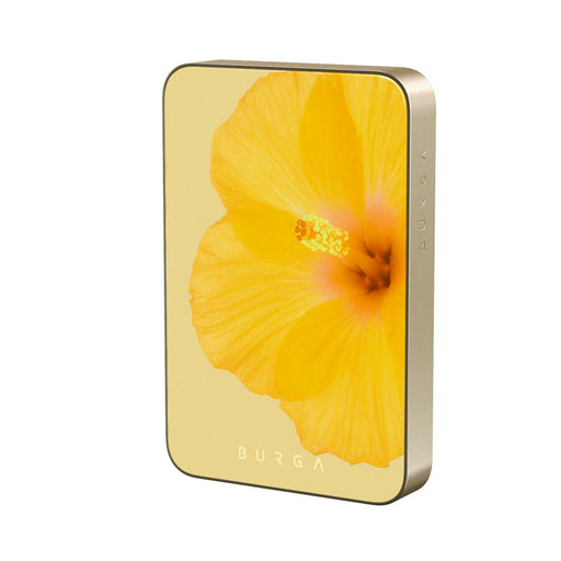 RS_20MS_MagPbank10K-GO